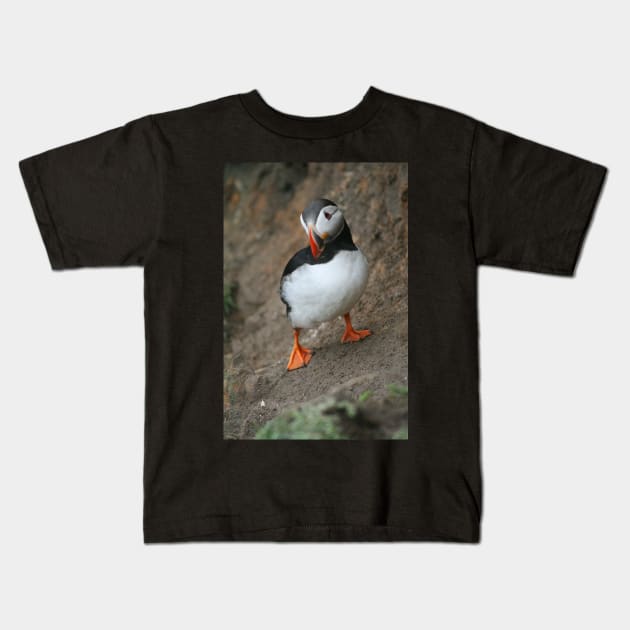 Quizzical Puffin Kids T-Shirt by orcadia